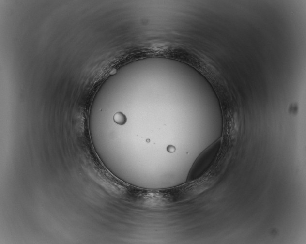 X0000115630562200911241650