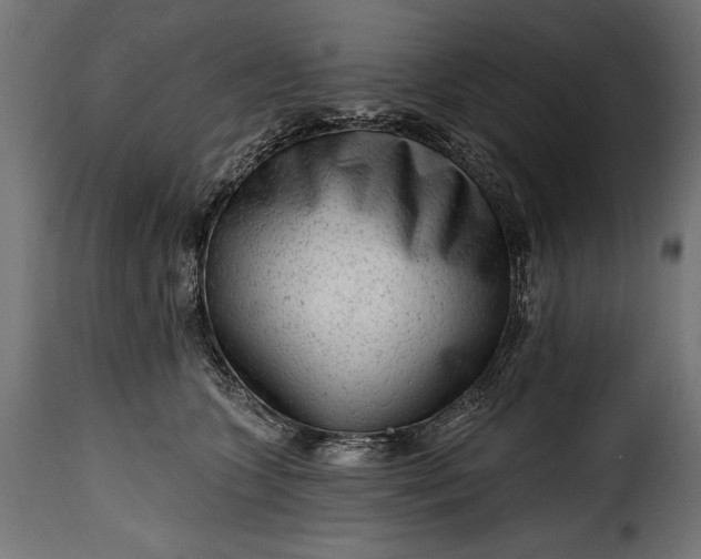 X0000115630563200911241650