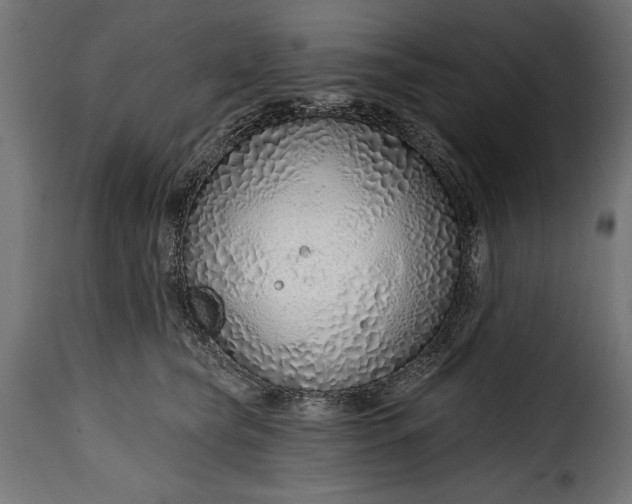 X0000115630565200911241650