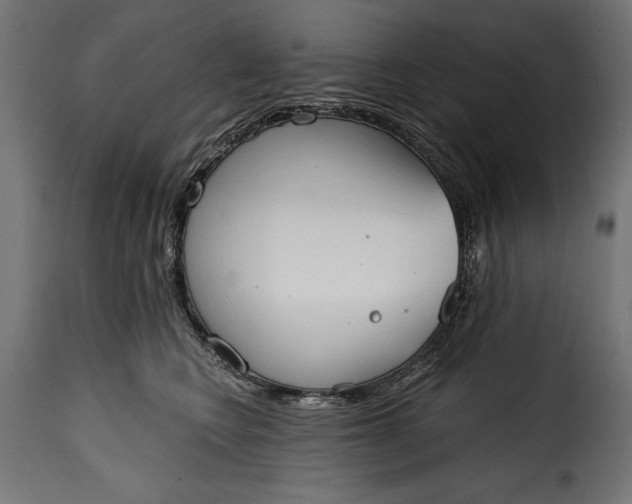 X0000115630566200911241650