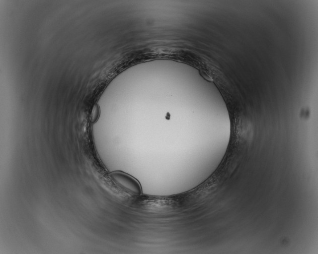 X0000115630567200911241650