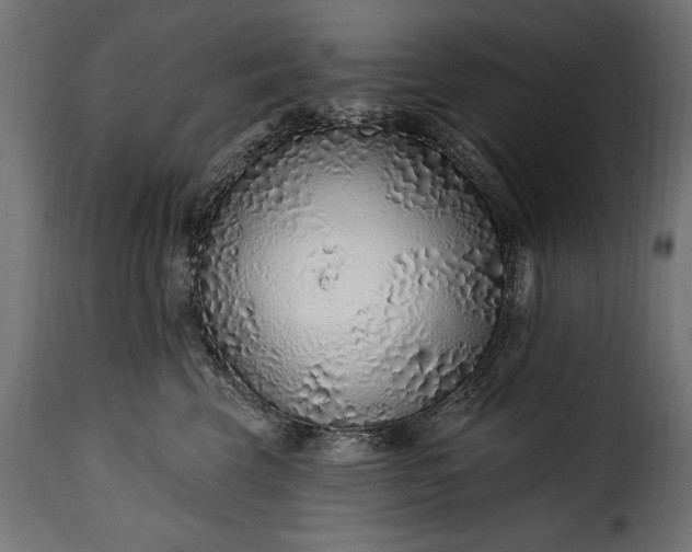 X0000115630569200911241650