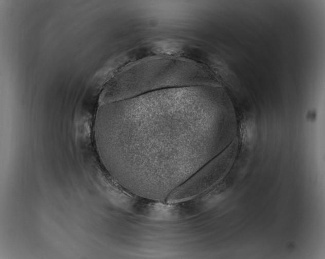 X0000115630570200911241650