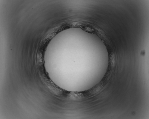 X0000115630571200911241650