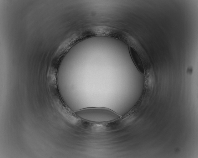 X0000115630573200911241650