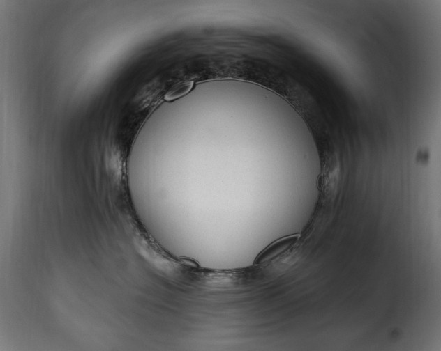 X0000115630574200911241650