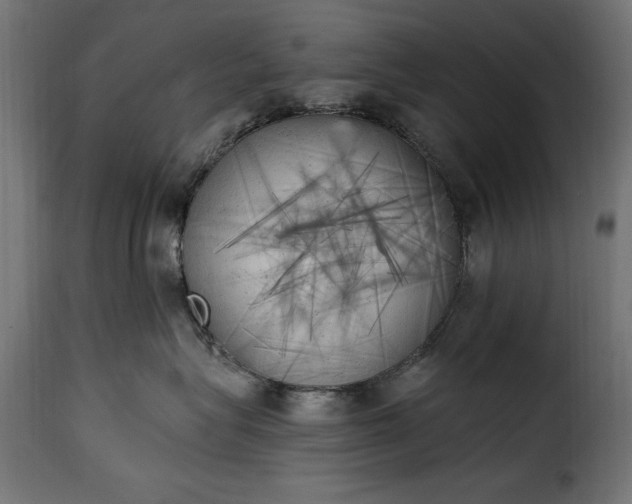 X0000115630575200911241650