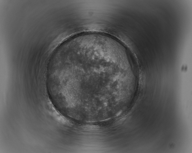 X0000115630577200911241649