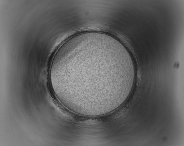 X0000115630578200911241649