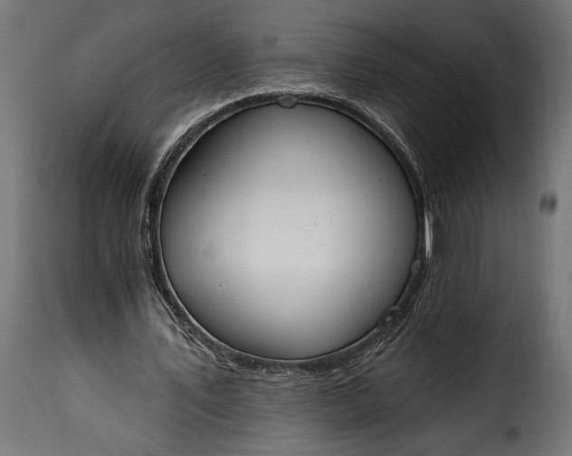 X0000115630579200911241649