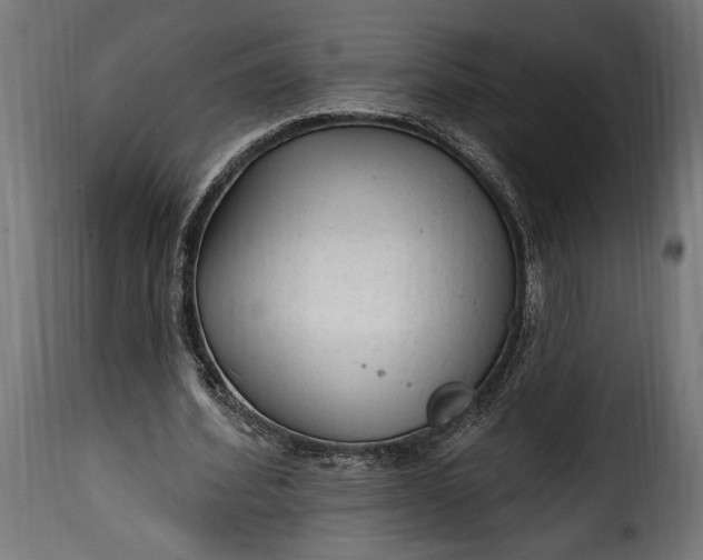 X0000115630580200911241649