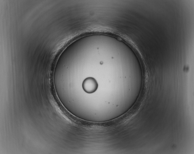 X0000115630581200911241649