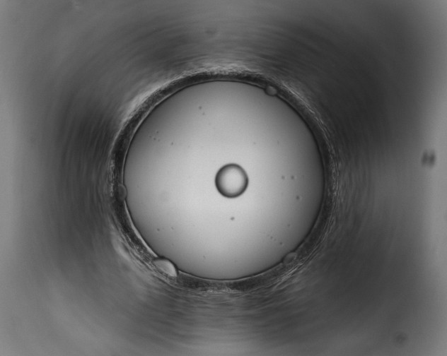 X0000115630583200911241649