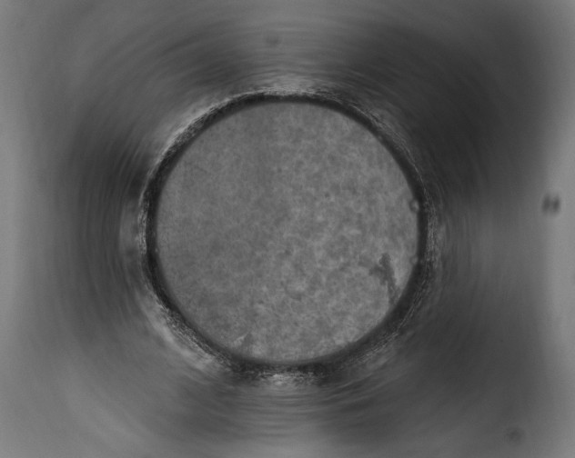 X0000115630584200911241649