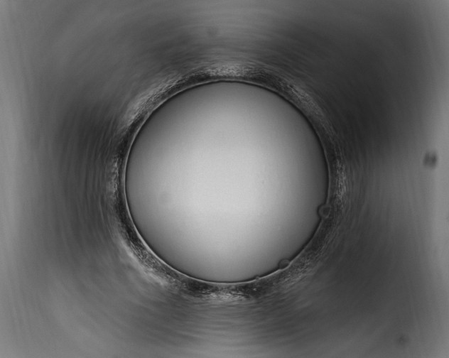 X0000115630586200911241649