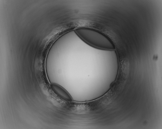 X0000115630587200911241649