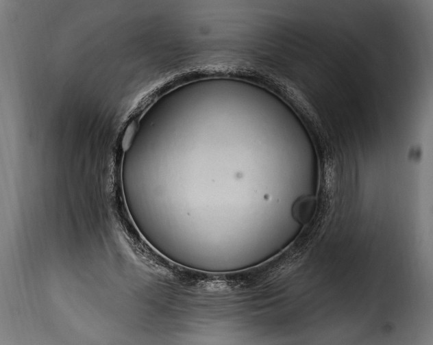 X0000115630588200911241649