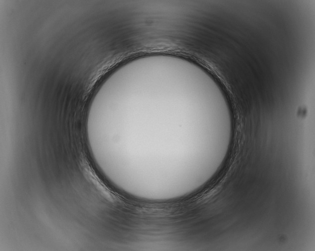 X0000115630589200911241649