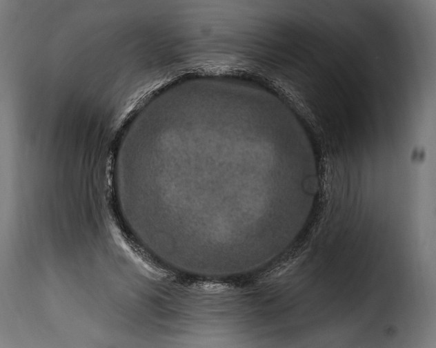 X0000115630590200911241649