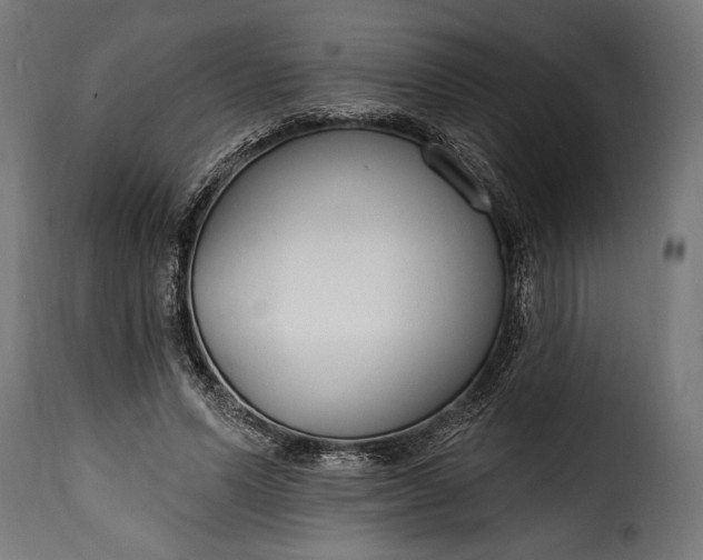 X0000115630591200911241649