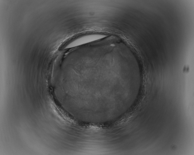 X0000115630592200911241649