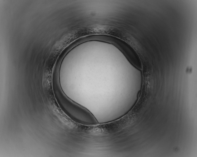 X0000115630593200911241649