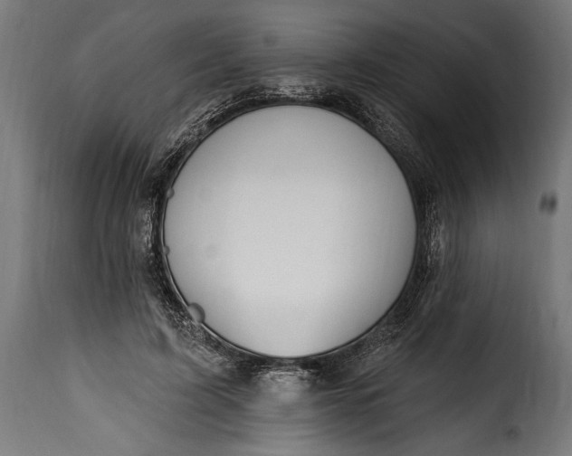 X0000115630595200911241649