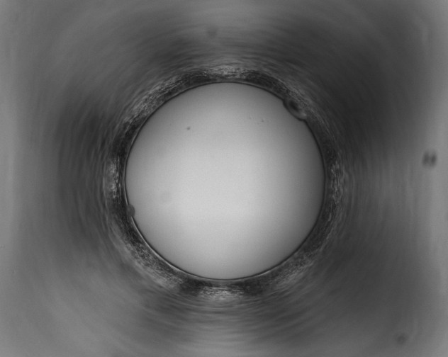 X0000115630597200911241649