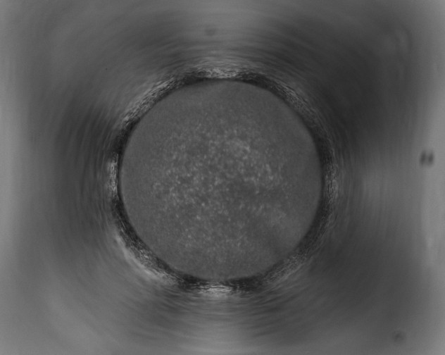 X0000115630598200911241649