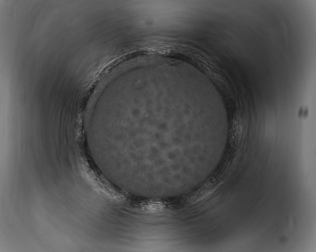 X0000115630600200911241649