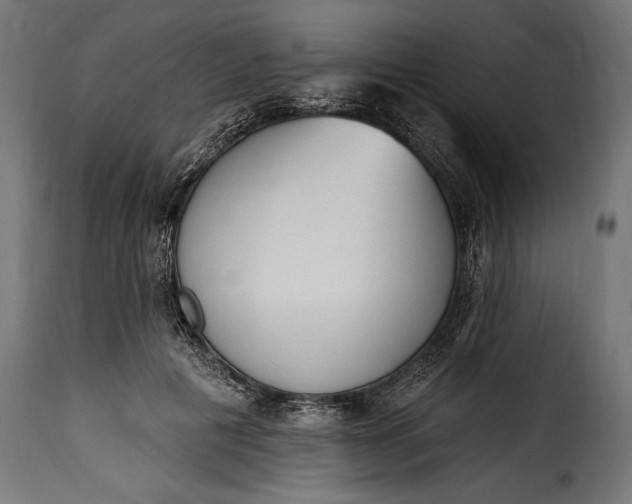 X0000115630601200911241649