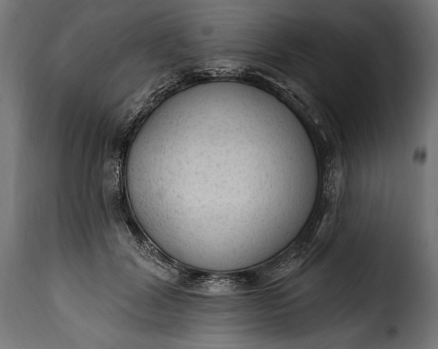 X0000115630604200911241648