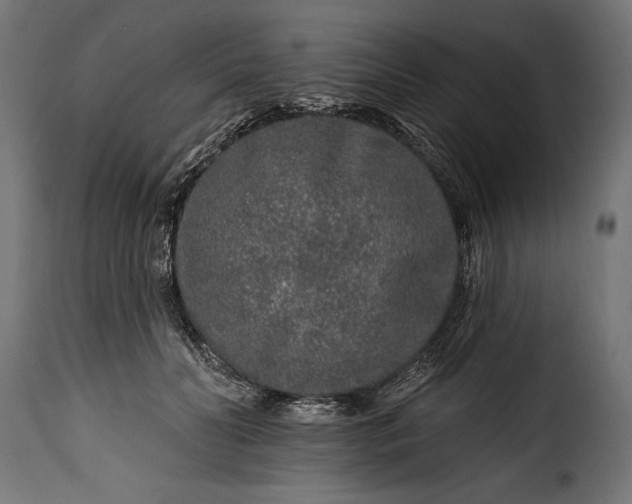 X0000115630606200911241648