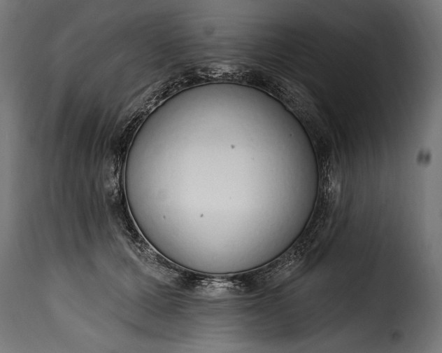 X0000115630607200911241648