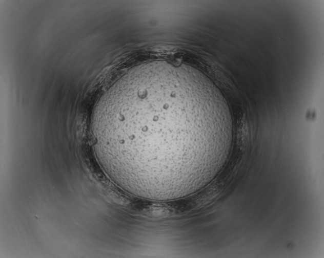 X0000115630608200911241648