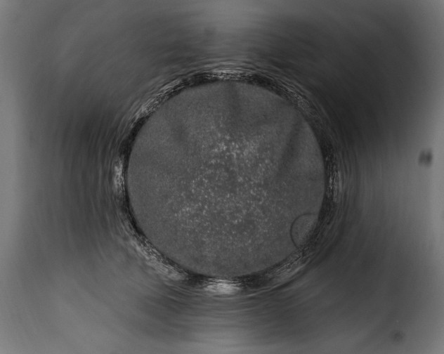 X0000115630610200911241648