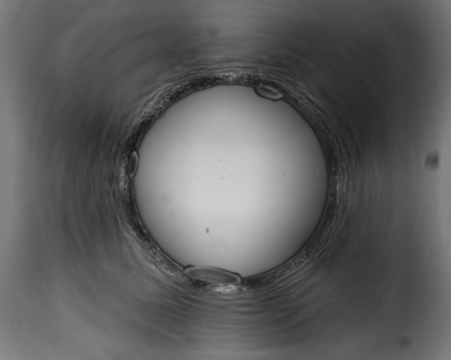 X0000115630611200911241648