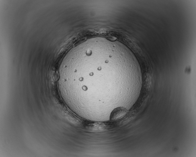 X0000115630612200911241648