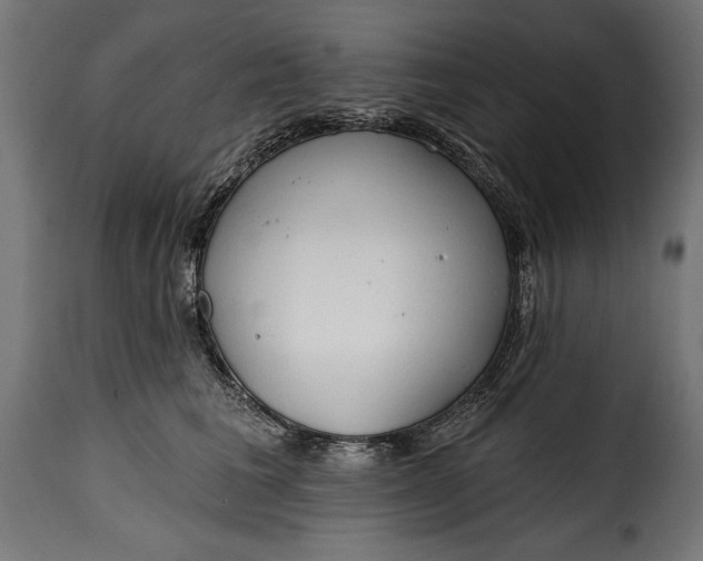 X0000115630613200911241648