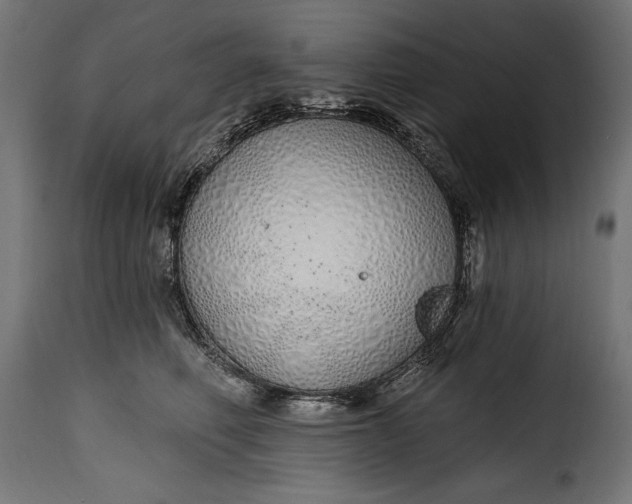 X0000115630614200911241648