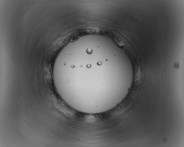 X0000115630616200911241648