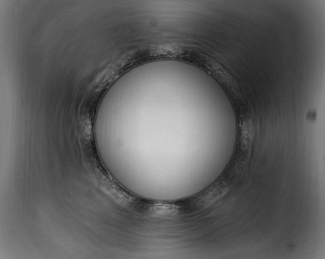 X0000115630617200911241648