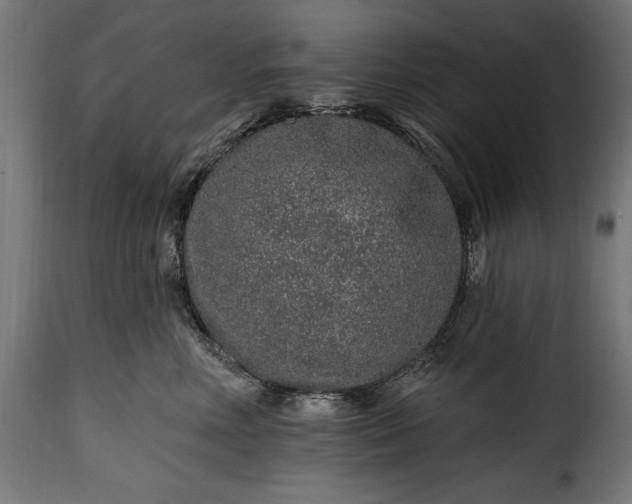 X0000115630618200911241648