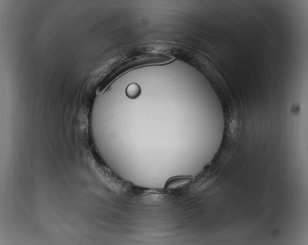 X0000115630620200911241648