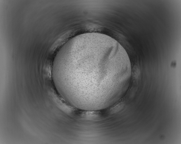 X0000115630622200911241648