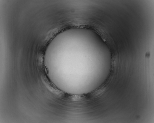 X0000115630623200911241648