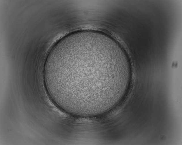 X0000115630625200911241648