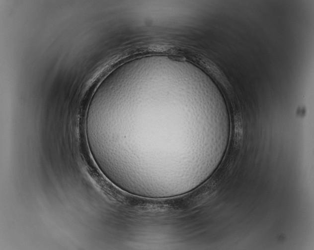 X0000115630626200911241648