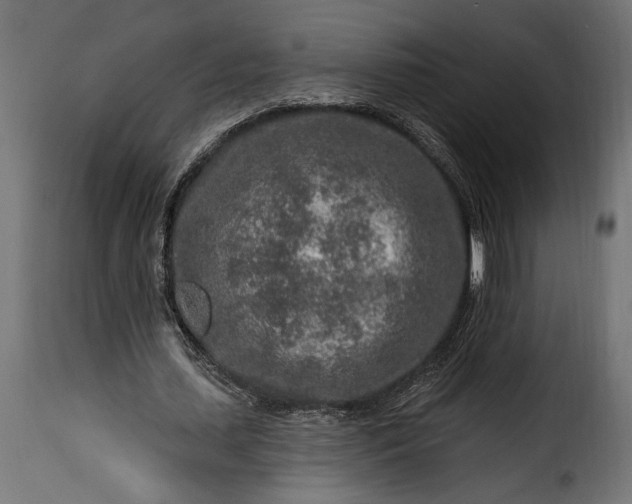 X0000115630627200911241648