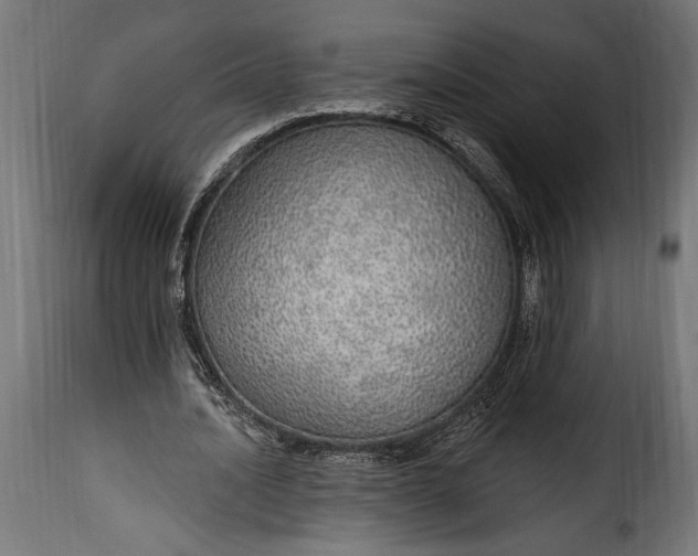 X0000115630628200911241648